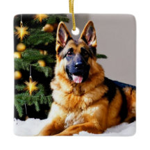 German shepherd na árvore de Natal