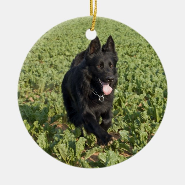 Ornamento De Cerâmica German shepherd preto da laca (Frente)