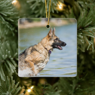 Ornamento De Cerâmica German shepherd Salta Em Água