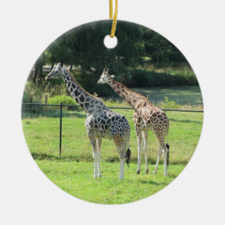 Ornamento De Cerâmica Girafas