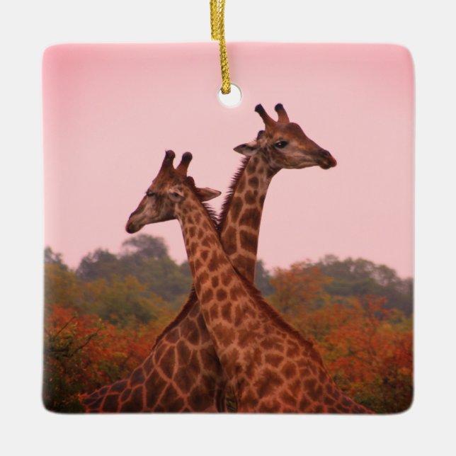 Ornamento De Cerâmica Girafas com céu rosa (Frente)