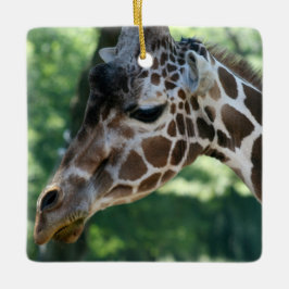 Ornamento De Cerâmica Giraffe Ornament