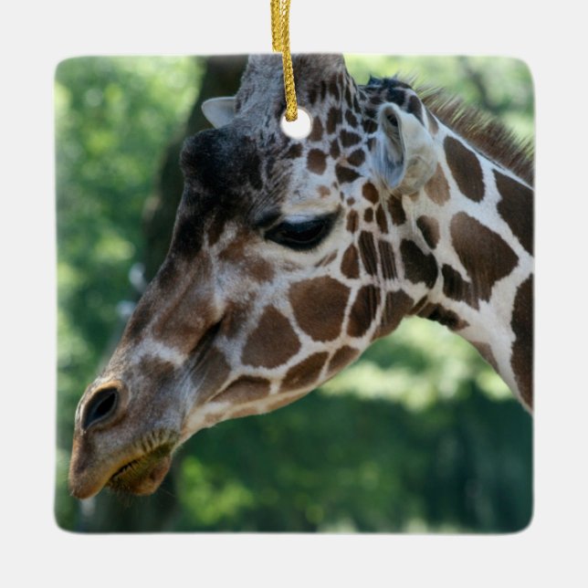 Ornamento De Cerâmica Giraffe Ornament (Frente)