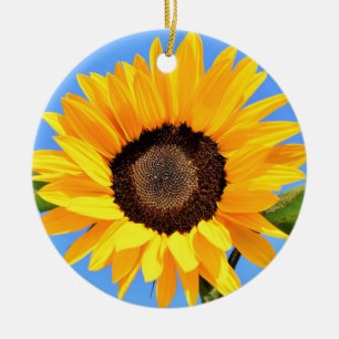 Ornamento De Cerâmica Girassol Amarelo contra Sol no Céu Azul - Verão