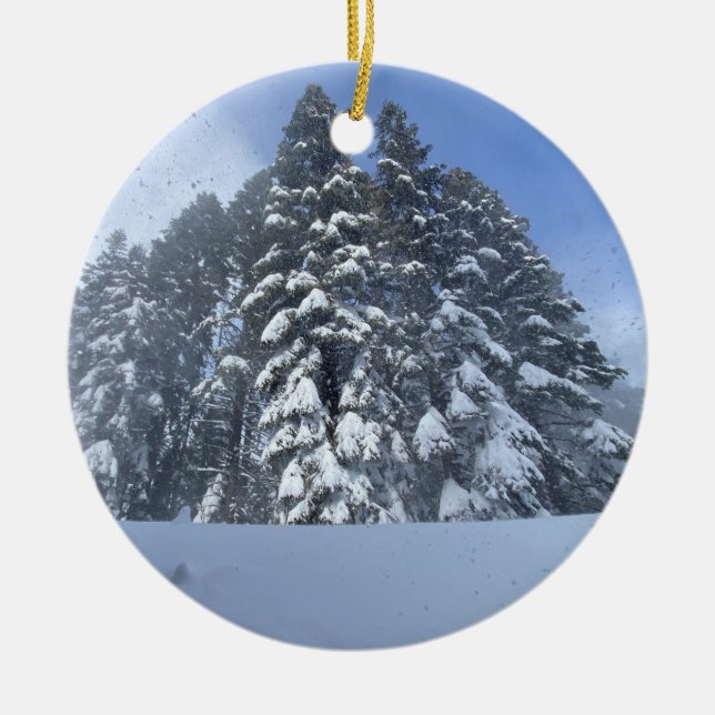 Ornamento De Cerâmica Globo de Neve (Frente)