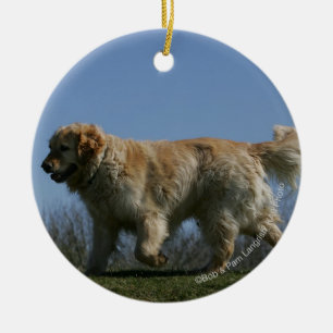 Ornamento De Cerâmica Golden retriever que funciona 3