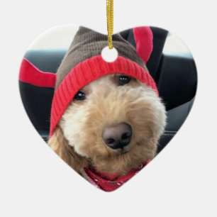 Ornamento De Cerâmica Goldendoodle bonitinho em sua roupa de Natal