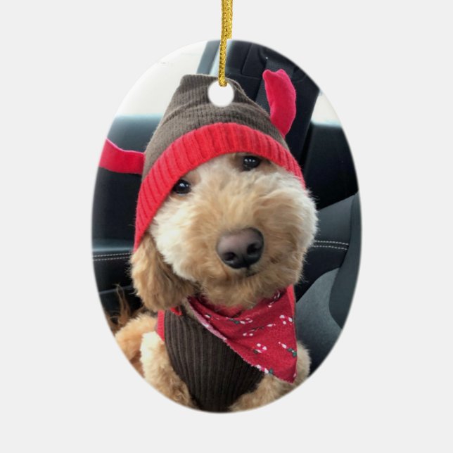 Ornamento De Cerâmica Goldendoodle bonitinho em sua roupa de Natal (Frente)