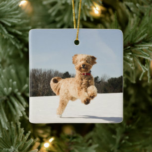Ornamento De Cerâmica Goldendoodle Correndo Pelo Campo