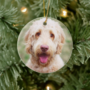 Ornamento De Cerâmica Goldendoodle Smiling