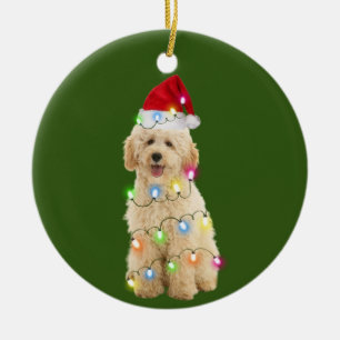 Ornamento De Cerâmica Goldendoododle Com Scafts De Natal Santa Hat