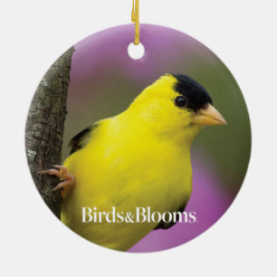 Ornamento De Cerâmica Goldfinch