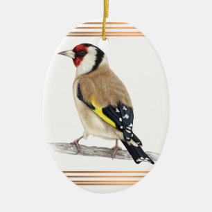 Ornamento De Cerâmica Goldfinch enquadrado com linhas douradas