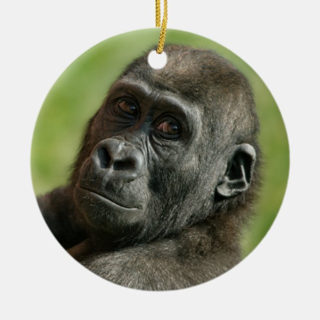 Ornamento De Cerâmica Gorilla Youngster (Frente)