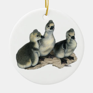 Ornamento De Cerâmica Goslings Toulouse Tufada