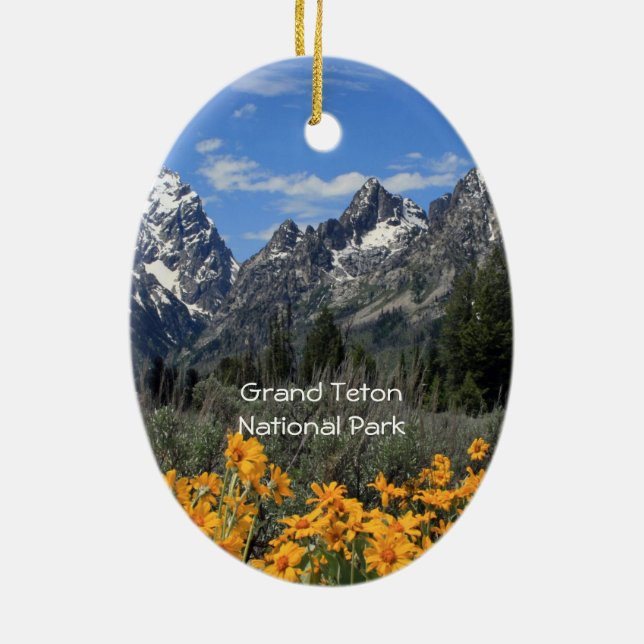 Ornamento De Cerâmica Grand Teton Springtime Souvenir Foto (Verso)