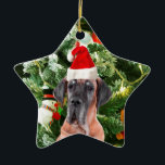 Ornamento De Cerâmica Grande Dane com Árvore de Natal Boxes Santa Hat<br><div class="desc">Um lindo cachorro dinamarquês vestindo Red Santa Hat e posando em frente à agradável árvore de Natal,  com caixas de presentes,  homem de neve,  ursinho de pelúcia,  Enfeites de natal. Um presente perfeito neste Natal!</div>