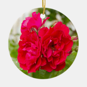 Ornamento De Cerâmica Grandes rosas vermelhas no jardim