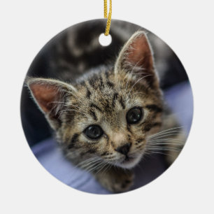 Ornamento De Cerâmica Gray Kitten