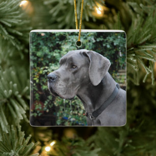 Ornamento De Cerâmica Great Dane imagem
