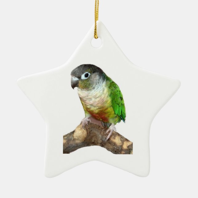 Ornamento De Cerâmica Green Cheek Conure (Frente)