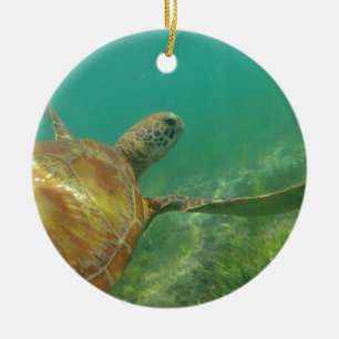 Ornamento De Cerâmica Green-turtle-Great-Barrier-Reef.JPG