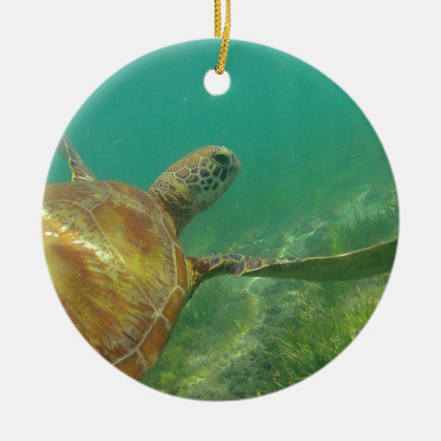 Ornamento De Cerâmica Green-turtle-Great-Barrier-Reef.JPG (Frente)