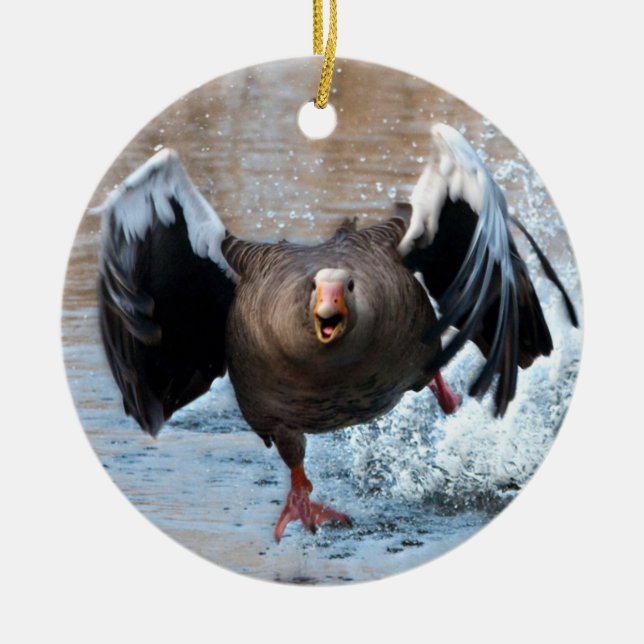 Ornamento De Cerâmica Greylag Goose no Chase (Frente)