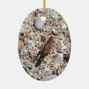 Ornamento De Cerâmica Grilo de Jiminy