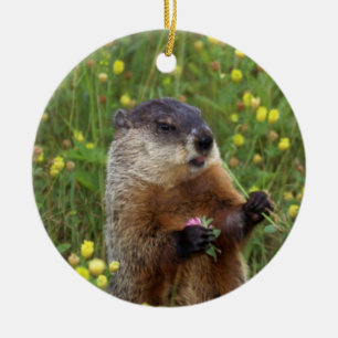 Ornamento De Cerâmica Groundhog Pose