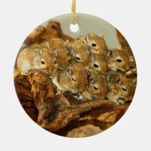Ornamento De Cerâmica Grupo de Meriones Unguiculatus dos Gerbils do