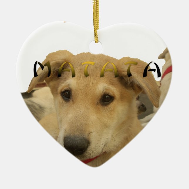 Ornamento De Cerâmica Hakuna Matata Eu sei o que você está pensando (Frente)