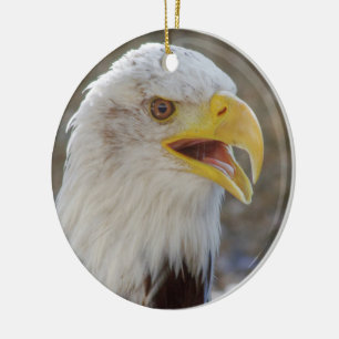 Ornamento De Cerâmica Haliaeetus leucocephalus