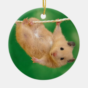 Ornamento De Cerâmica hampster parvo