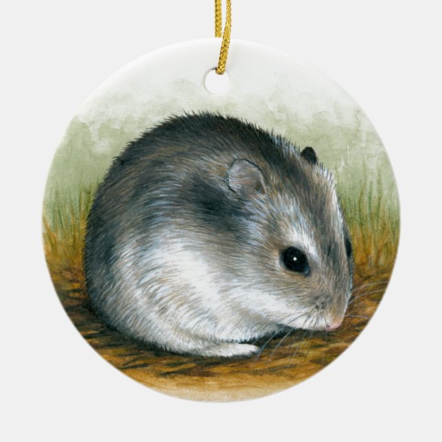 Ornamento De Cerâmica Hamster 25 (Frente)
