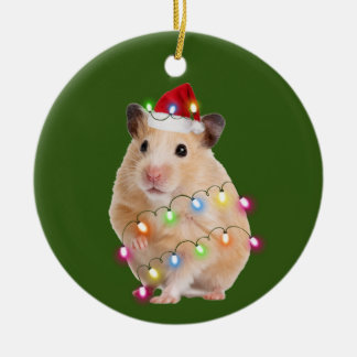 Ornamento De Cerâmica Hamster Com Luzes De Chapéu Natal