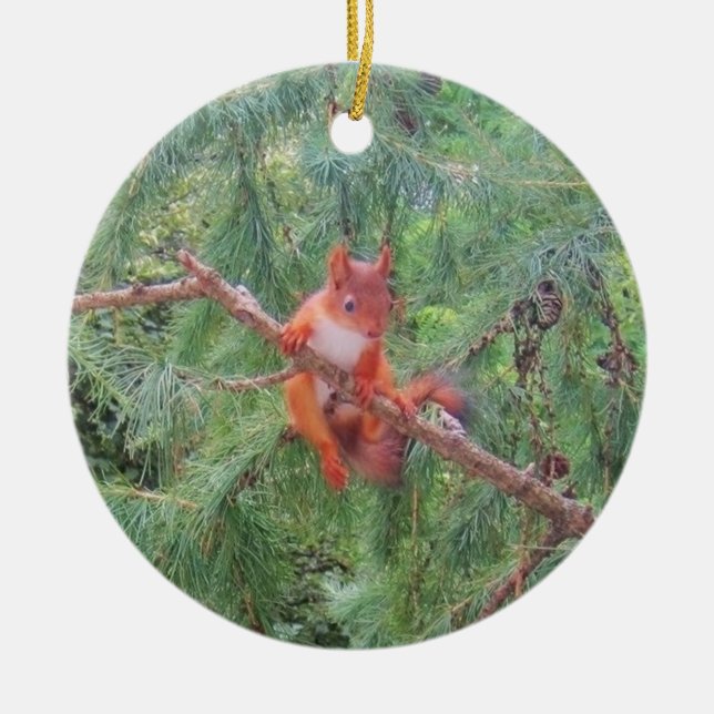 Ornamento De Cerâmica Hanging in There (Frente)