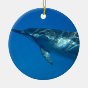 Ornamento De Cerâmica Hawaii Spinner Dolphin