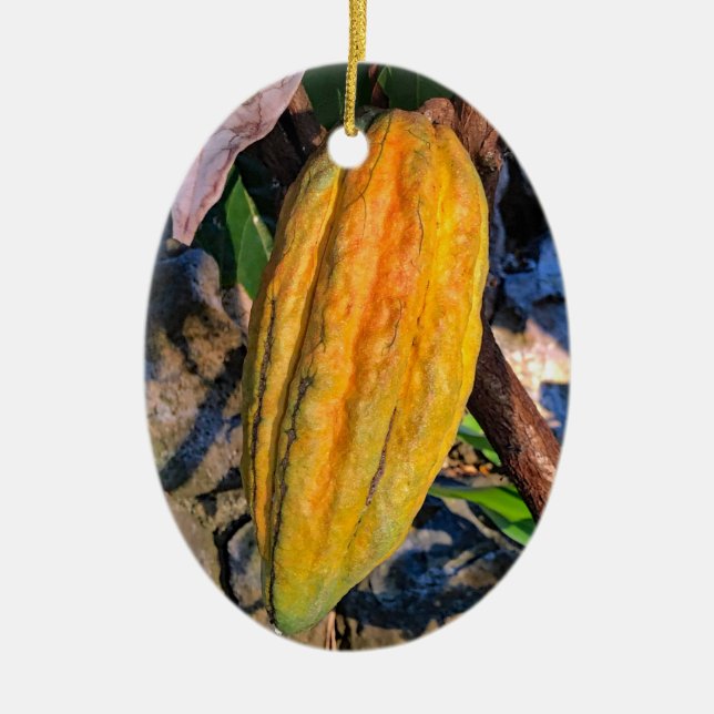 Ornamento De Cerâmica Hawaiian Cacao Pod (Frente)