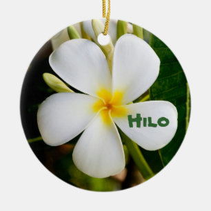 Ornamento De Cerâmica Hawaiian Keepsak