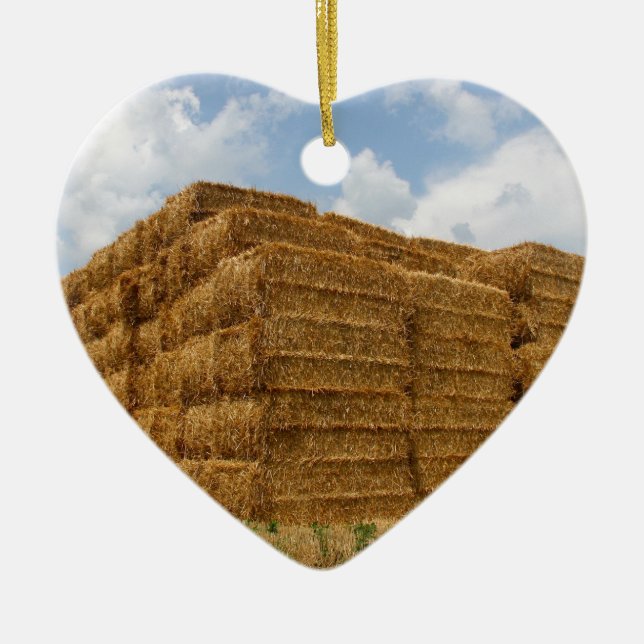 Ornamento De Cerâmica HaY BaLEs (Frente)