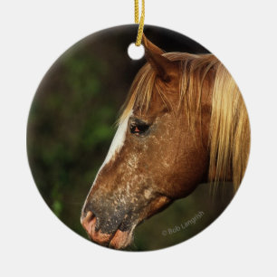 Ornamento De Cerâmica Headshot 1 do cavalo do Appaloosa