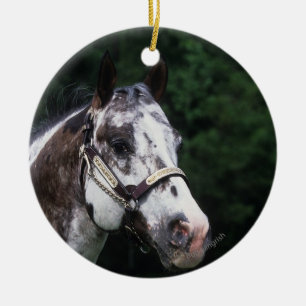 Ornamento De Cerâmica Headshot 2 do cavalo do Appaloosa