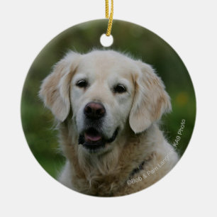 Ornamento De Cerâmica Headshot 2 do golden retriever
