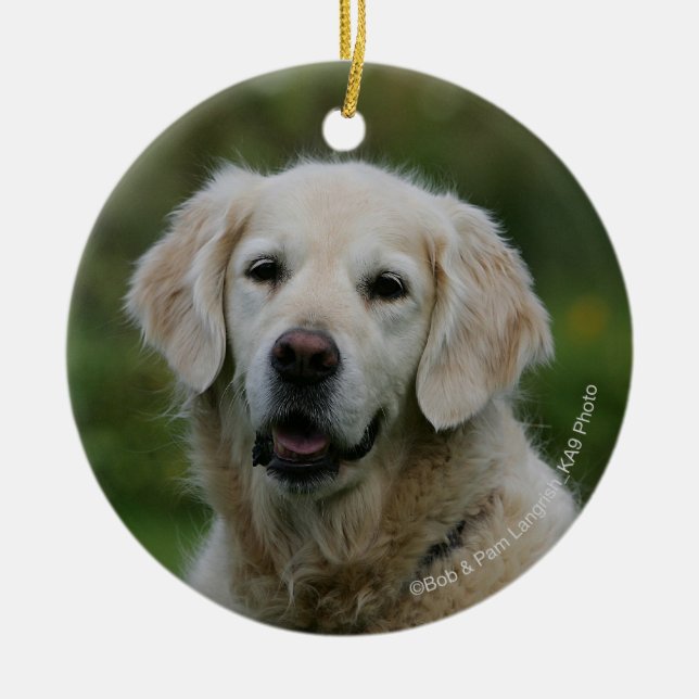 Ornamento De Cerâmica Headshot 2 do golden retriever (Frente)