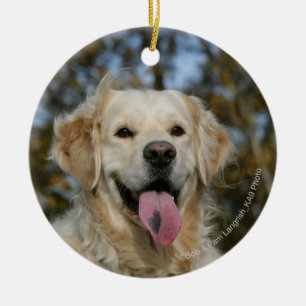 Ornamento De Cerâmica Headshot 3 do golden retriever