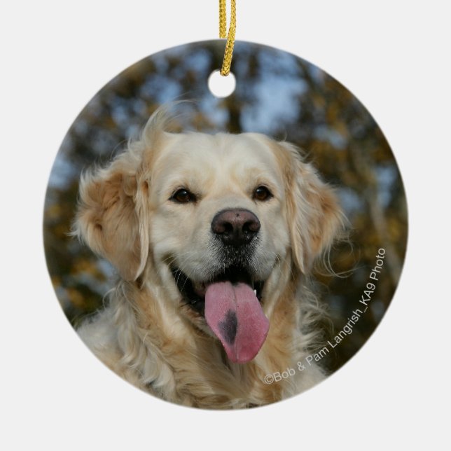Ornamento De Cerâmica Headshot 3 do golden retriever (Frente)