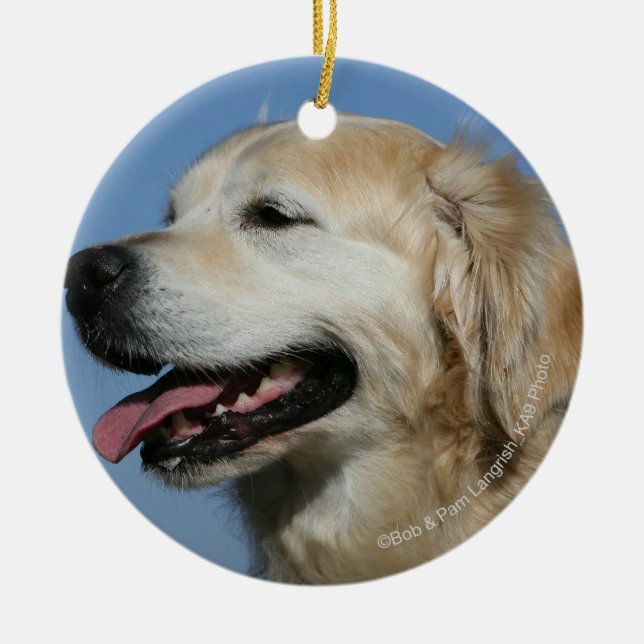 Ornamento De Cerâmica Headshot 4 do golden retriever (Frente)