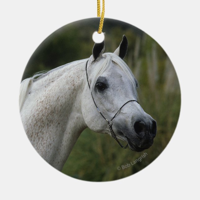 Ornamento De Cerâmica Headshot árabe 1 do cavalo (Frente)