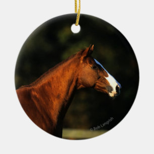 Ornamento De Cerâmica Headshot do cavalo do puro-sangue